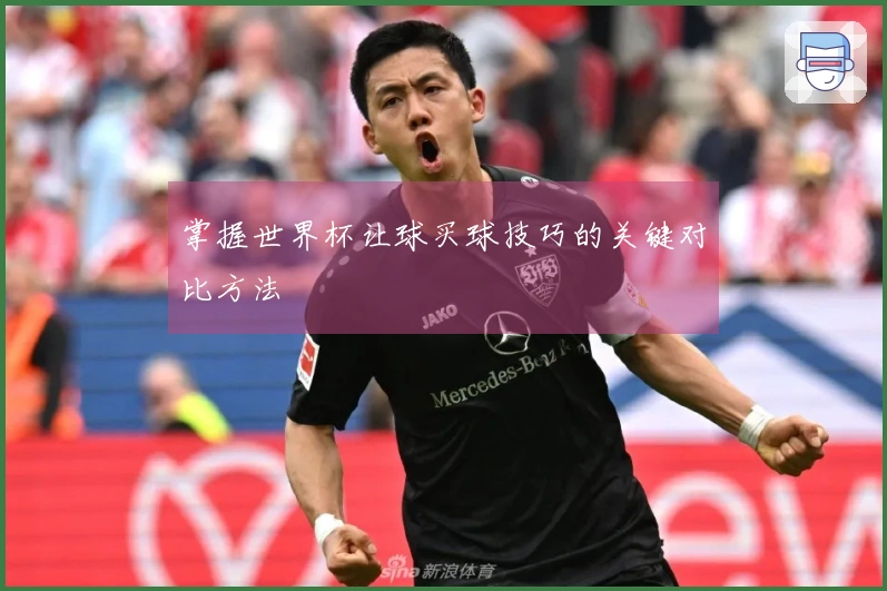 掌握世界杯让球买球技巧的关键对比方法