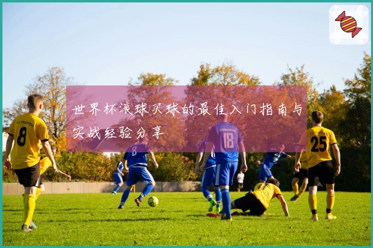 世界杯滚球买球的最佳入门指南与实战经验分享