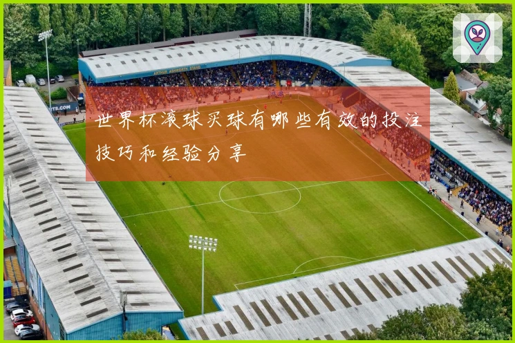 世界杯滚球买球有哪些有效的投注技巧和经验分享
