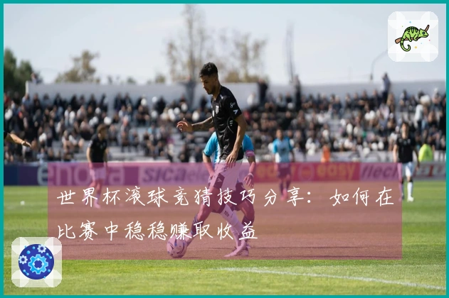 世界杯滚球竞猜技巧分享：如何在比赛中稳稳赚取收益