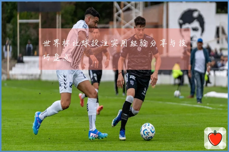 世界杯让球投注实用经验分享与技巧盘点