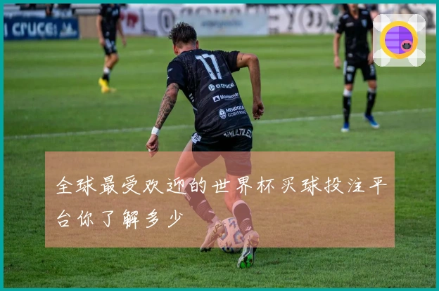 全球最受欢迎的世界杯买球投注平台你了解多少