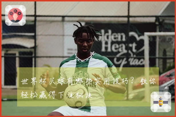 世界杯买球有哪些实用技巧？教你轻松赢得下注秘诀
