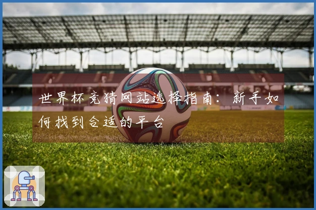 世界杯竞猜网站选择指南：新手如何找到合适的平台